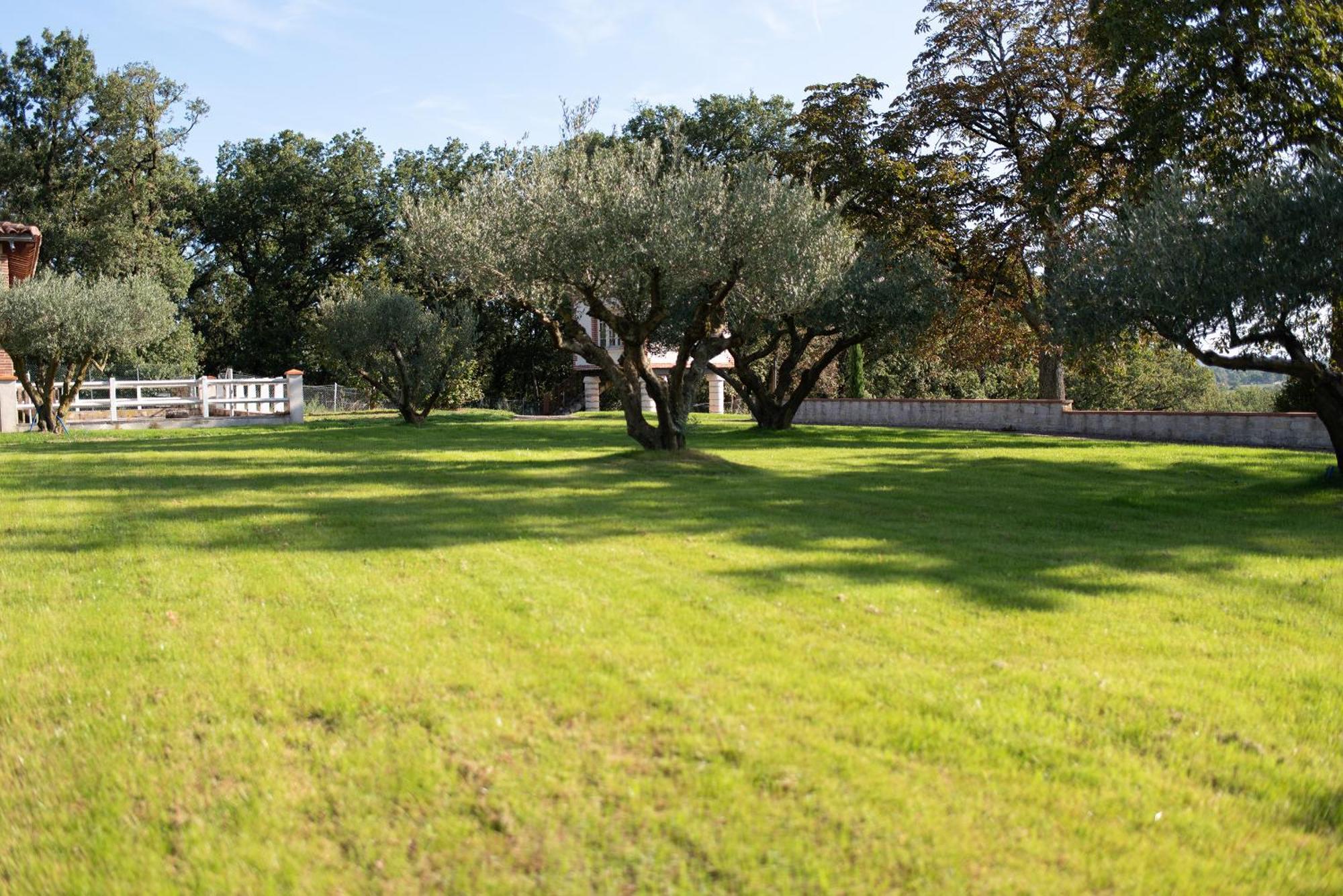 Petit Coin De Paradis Albigeois Castelnau-de-Lévis エクステリア 写真
